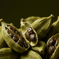 Cardamom