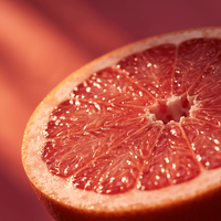 Grapefruit