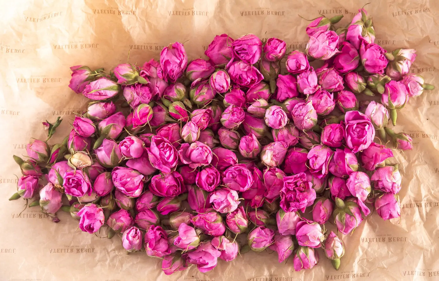Damask Rose Hydrolat: ce este cum se obține și de ce este esențial pentru pielea ta