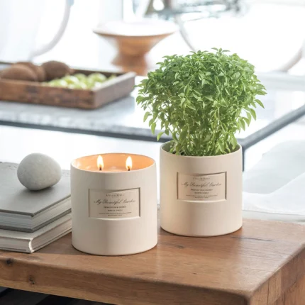 AT02545 LUMANARE20PARFUMATA20CU20SMOCHINE20SI20COCOS2065020G20EU ATELIER20REBUL 1